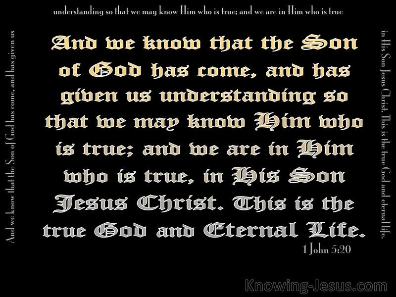 1 John 5:20 This Is The True God (black)